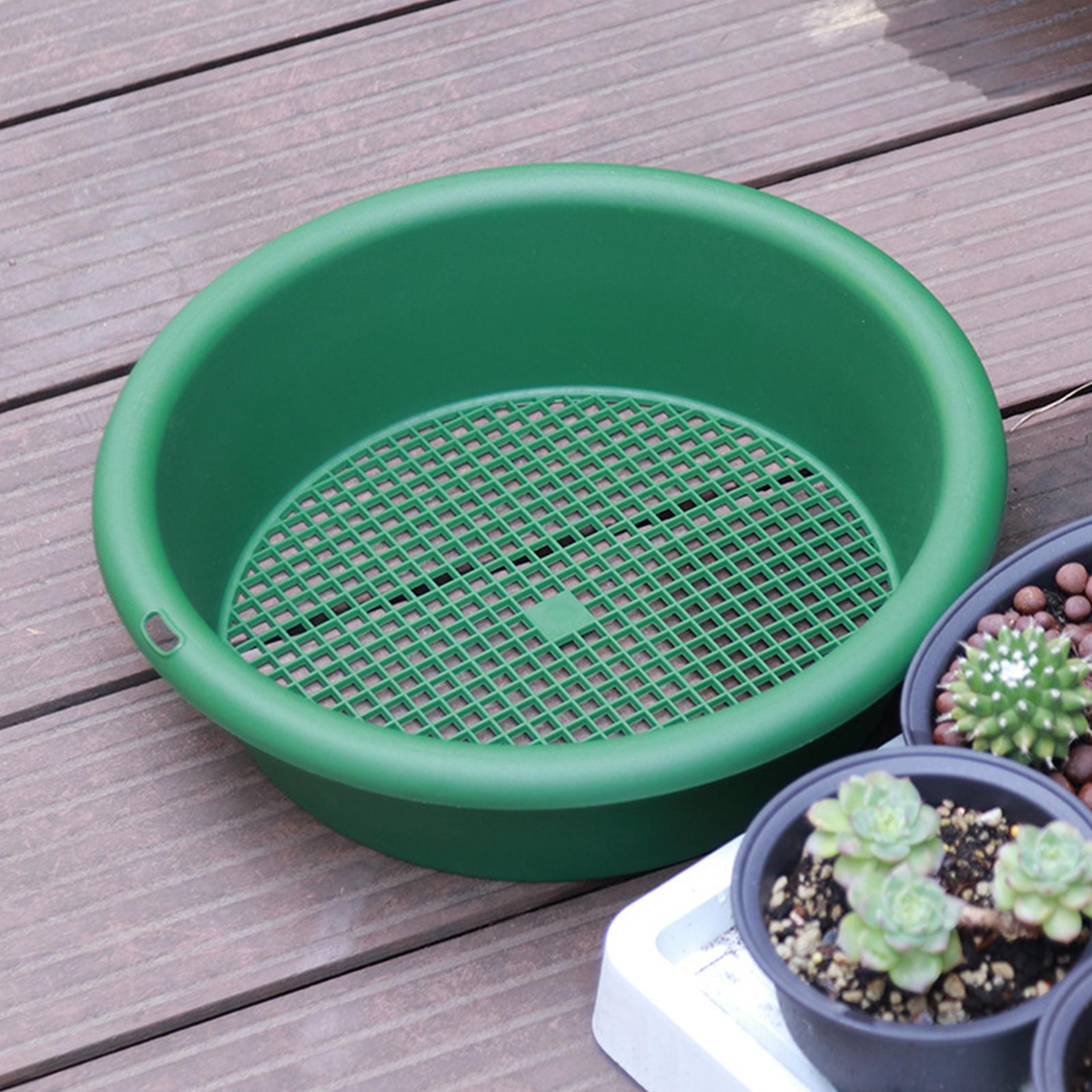 Saringan Batu Anti Karat, Sari - Pothos ulasan dan harga