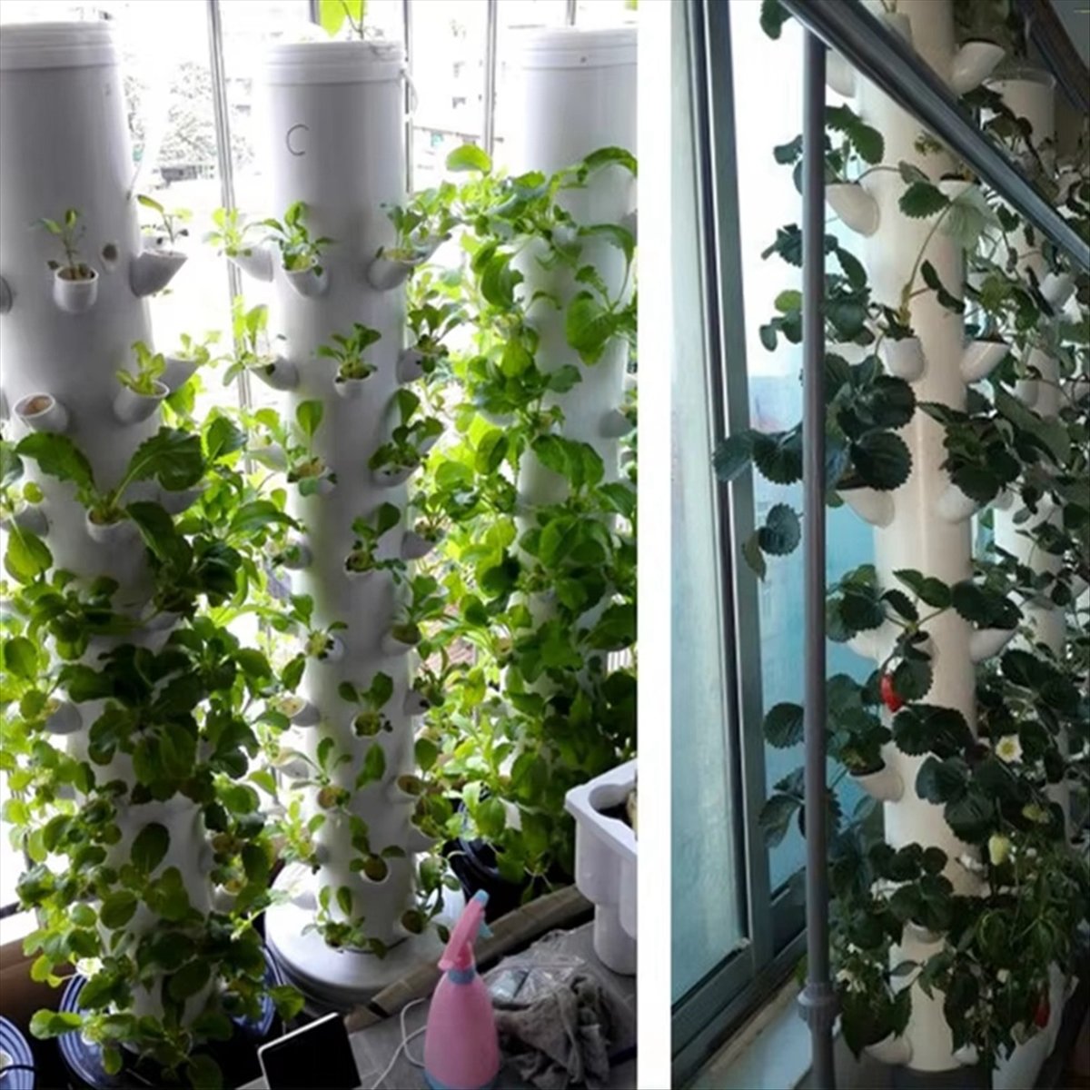 Wadah Tanaman Hidroponik Verti - Plant Pot ulasan dan harga