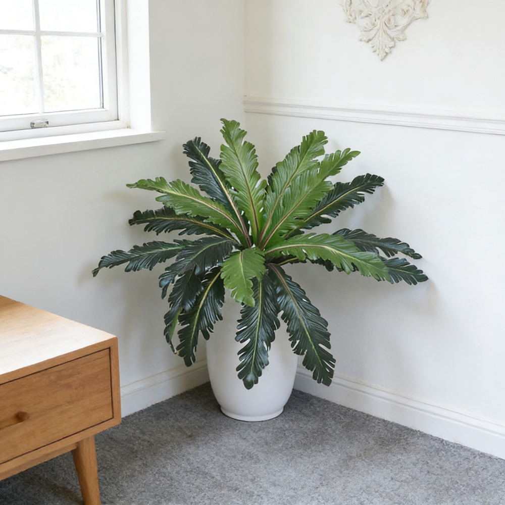 Daun Persia Palsu Tropis 45-50 - Snake Plant ulasan dan harga