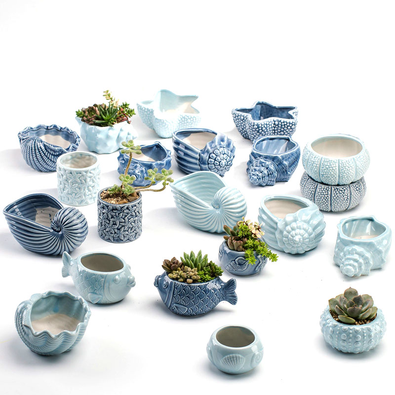 Pot Bunga Porselen Biru Bergay - Snake Plant Ceramic ulasan dan harga