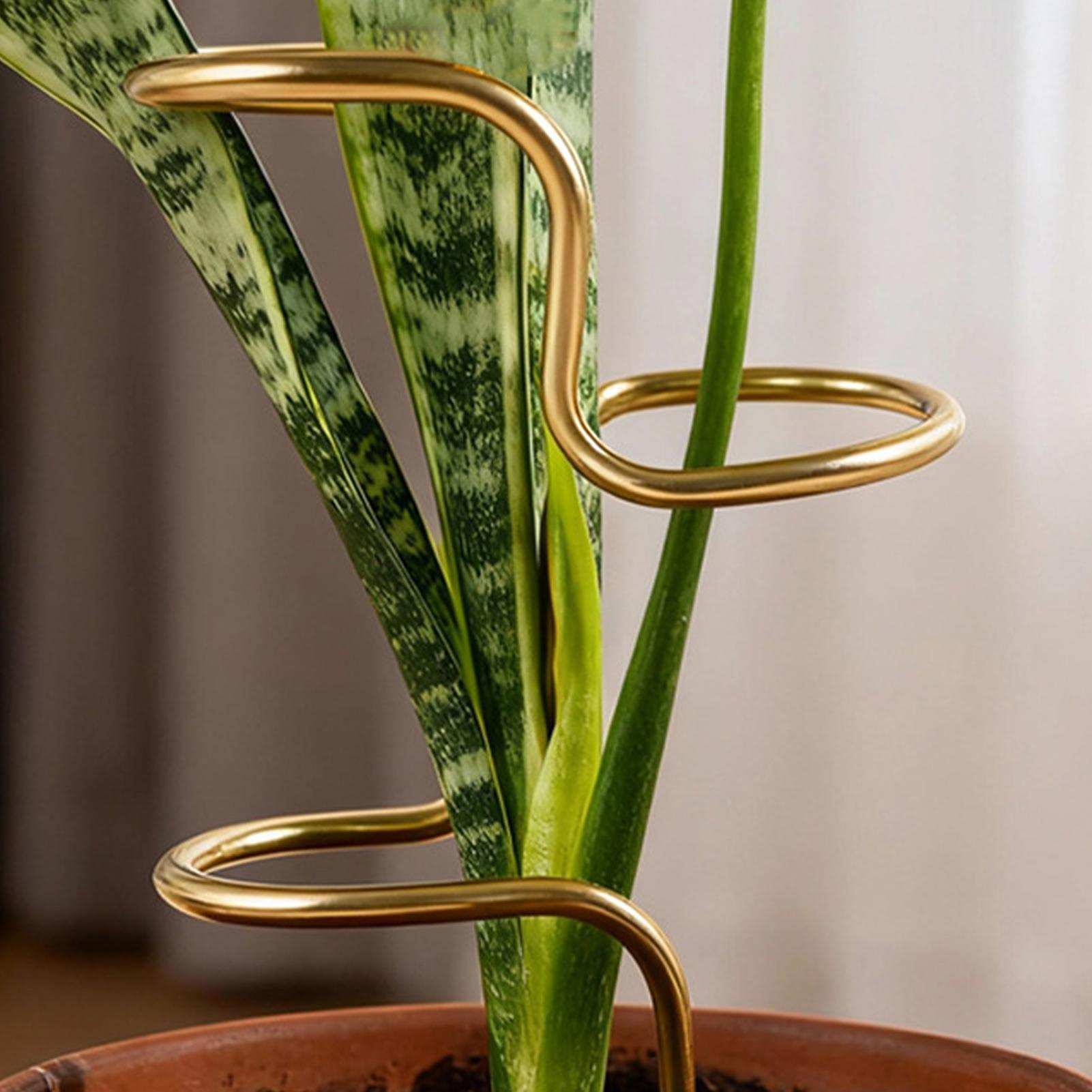 Rangka Penyangga Batang Tanama - Plant Support Stake ulasan dan harga