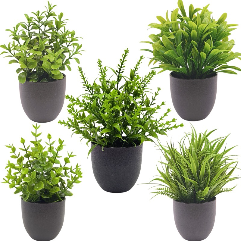 Bonsai Tanaman Hijau Simulasi, - Succulent Set ulasan dan harga