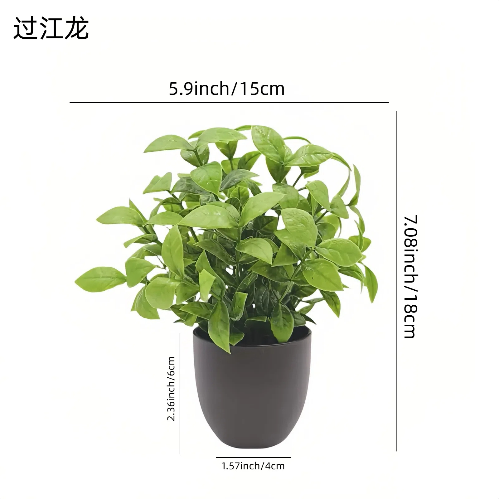 Bonsai Tanaman Hijau Simulasi, - Succulent Set ulasan dan harga