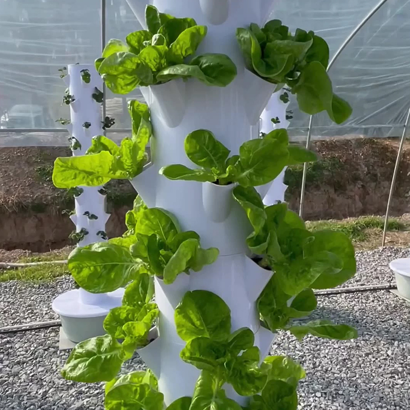Dengan Led Lampu Tumbuh Pohon  - Plant Pot ulasan dan harga