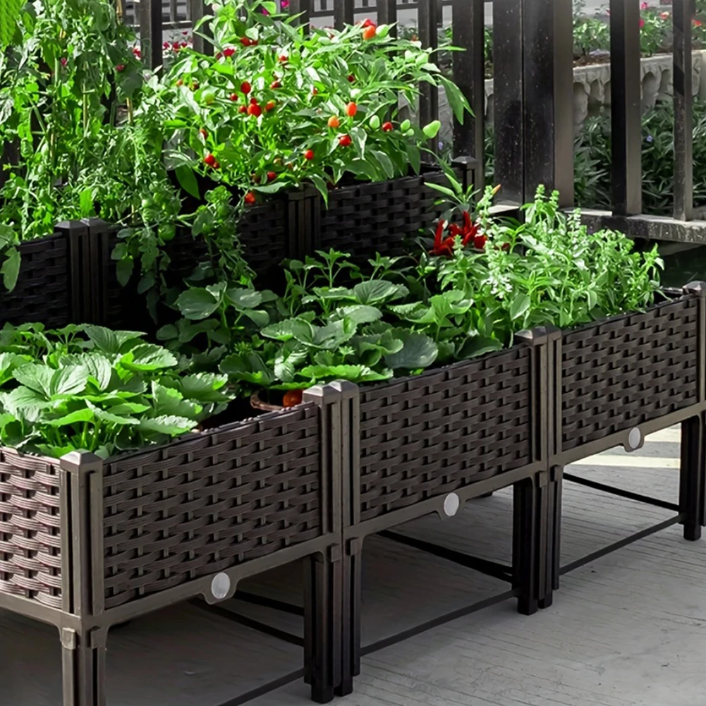 Kotak Penanaman Sayuran Tempat - Pothos ulasan dan harga