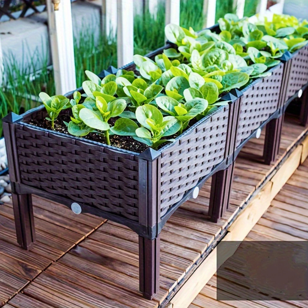 Kotak Penanaman Sayuran Tempat - Pothos ulasan dan harga