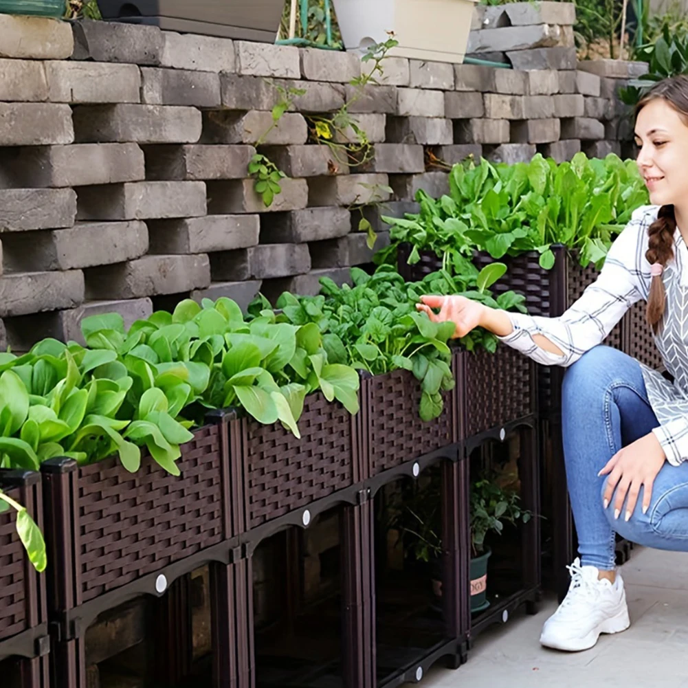 Kotak Penanaman Sayuran Tempat - Pothos ulasan dan harga