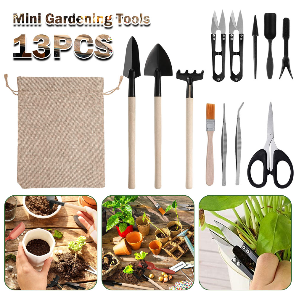 Alat Tanaman Sukulen Alat Tang - Succulent Set ulasan dan harga