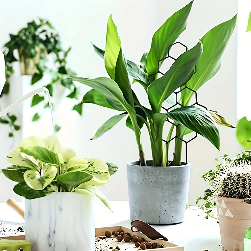 1 Buah Teralis Tanaman Desain  - Pothos ulasan dan harga