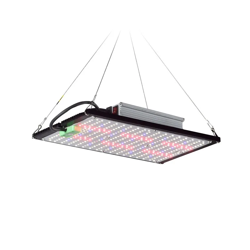 Lampu LED Quantum-Board untuk  - Indoor Plants ulasan dan harga