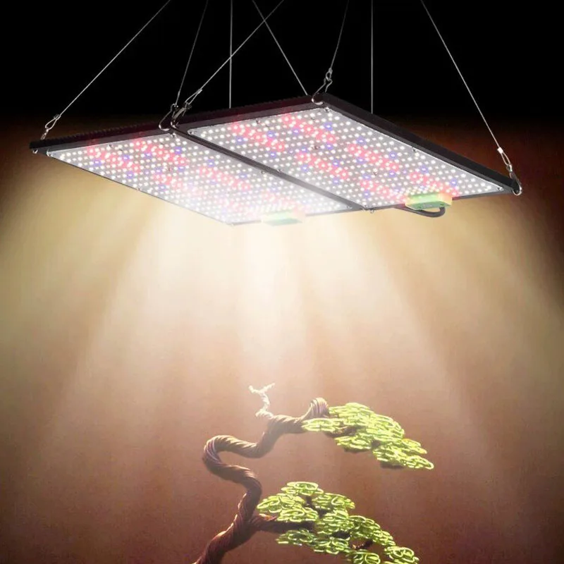 Lampu LED Quantum-Board untuk  - Indoor Plants ulasan dan harga