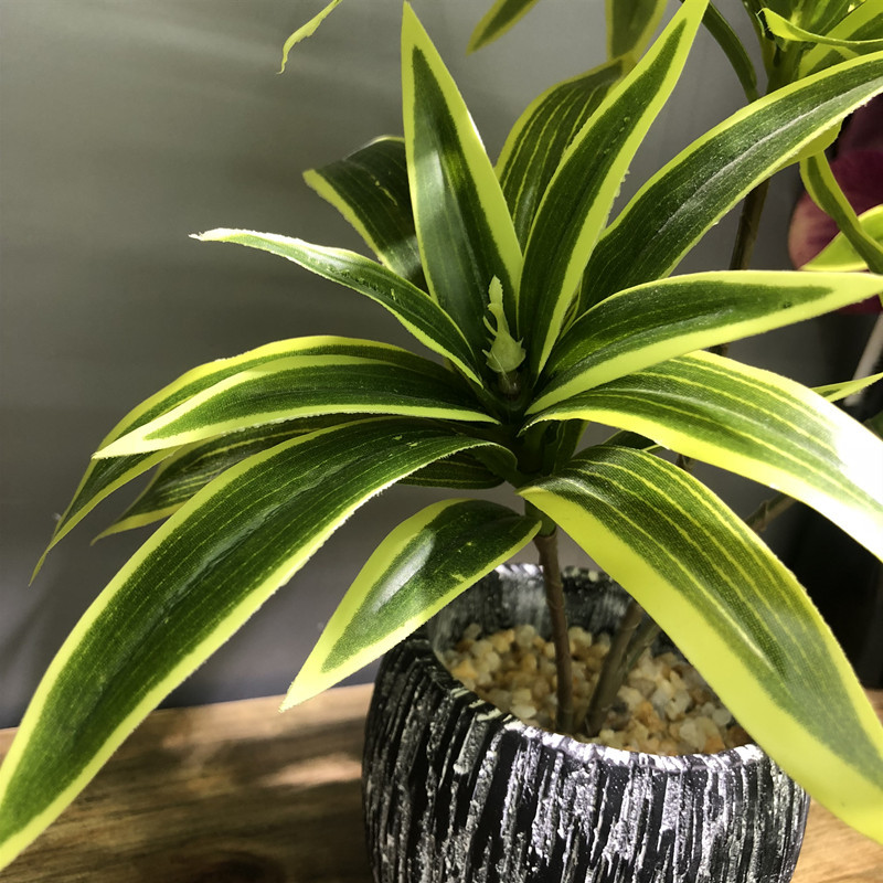 35CM 3 Garpu Buatan Desktop Ta - Snake Plant ulasan dan harga