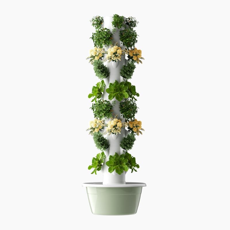 Menara Hidroponik Vertikal Aer - Pothos ulasan dan harga